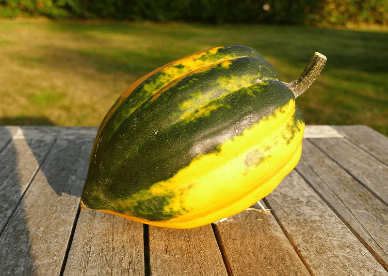 Kürbishälften orientalisch gefüllt