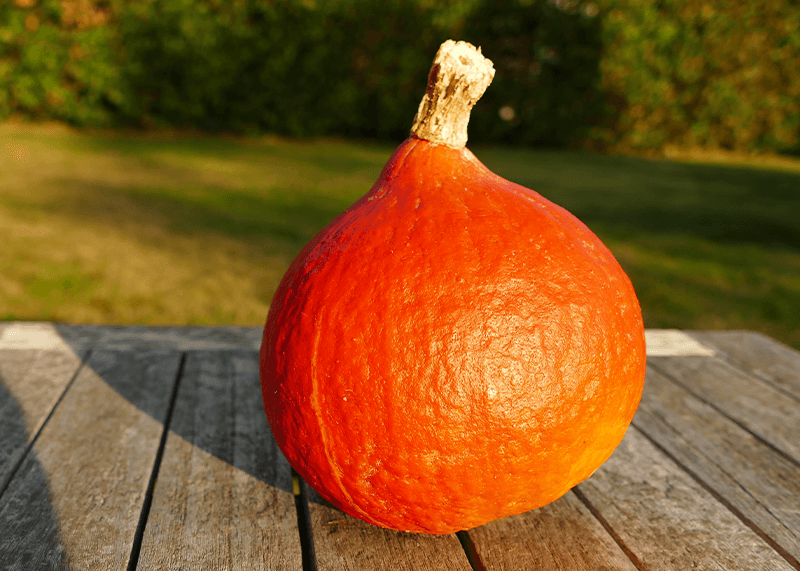 Pürierte Kürbissuppe